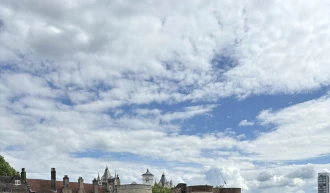 IMG_8274.jpeg IMG_8274.jpeg