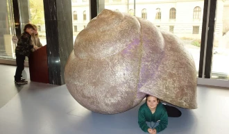 DSC06478.JPG DSC06478.JPG